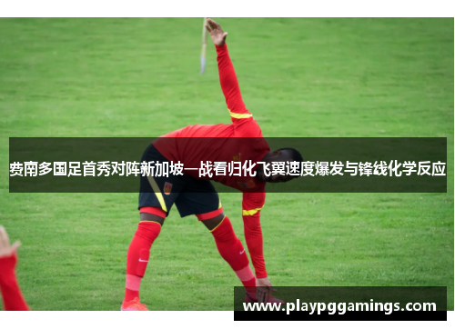 费南多国足首秀对阵新加坡一战看归化飞翼速度爆发与锋线化学反应