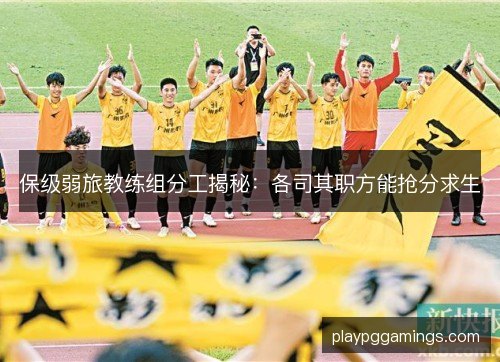 保级弱旅教练组分工揭秘:各司其职方能抢分求生 保级弱旅教练组分工揭秘:各司其职方能抢分求生